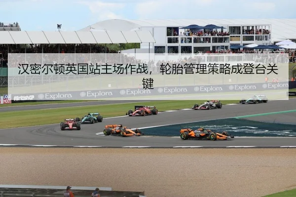 han-mi-er-dun-ying-guo-zhan-zhu-chang-zuo-zhan-lun-tai-guan-li-ce-lve-cheng-deng-tai-guan-jian-2-251.jpg