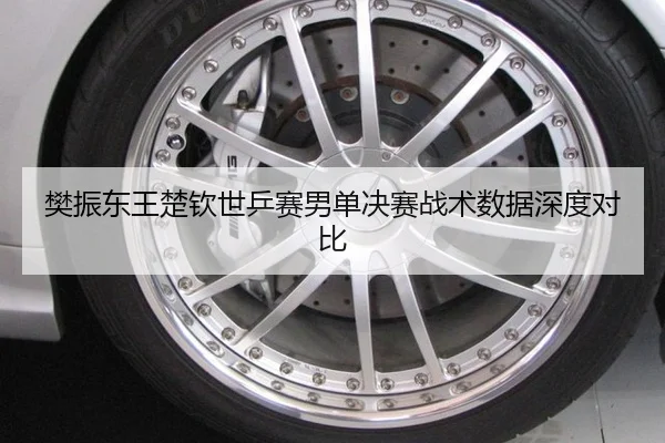 樊振东王楚钦世乒赛男单决赛战术数据深度对比